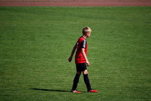 九游官网下载电脑版-中国足球俱乐部青训营技术指导持续加强，中国足球青训机构